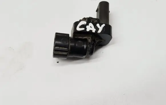 Porsche Cayenne (92A) Air pressure sensor 5C0201733