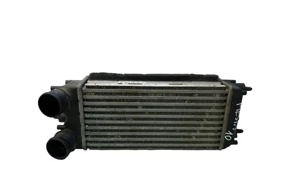 Ford Fiesta Intercooler radiator AV219L440AA M149811C