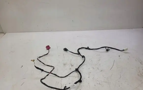 Audi A4 S4 B9 Other wiring loom 8W0971366CP