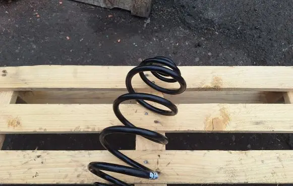 Opel Vectra C Rear coil spring