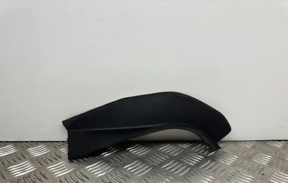 Rear/tail light trim molding