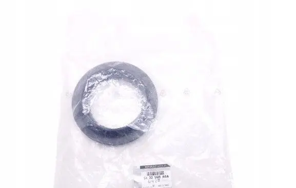 Renault Kangoo II Rear shock absorber with coil spring 