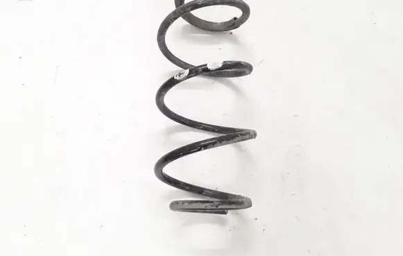 Renault Modus Front coil spring 540101261R