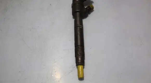 Mercedes-Benz A W169 Fuel injector A6400700787