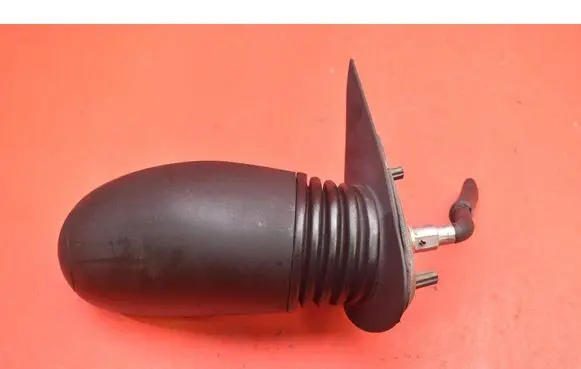 Front door electric wing mirror