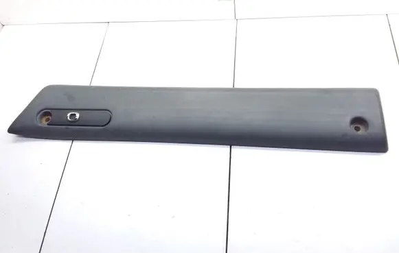 Front door trim (molding)