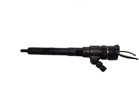 KIA Carens II Fuel injector 0445110258 3380027400