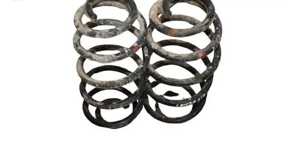 Rear coil spring