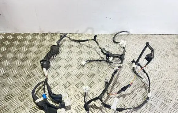 Front door wiring loom