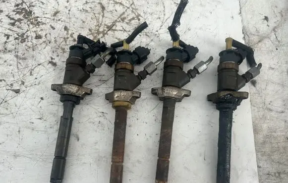 Citroen C3 Fuel injectors set 0445110311 620033