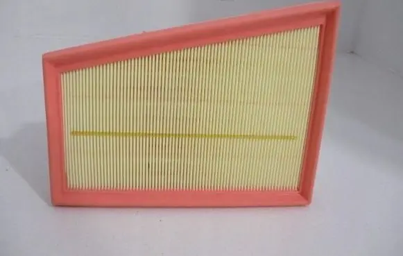 Renault Megane III Air filter 1612866880