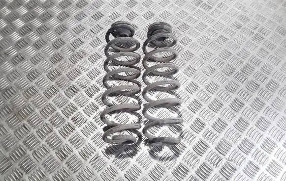 Skoda Roomster (5J) Rear coil spring