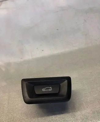 BMW X2 U10 Tailgate opening switch 30549693500
