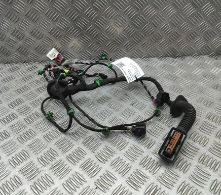 Porsche Taycan 9J1 Front door wiring loom 9JA971035AE