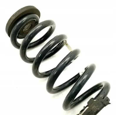 Volkswagen ID.4 Rear coil spring 1EA511103H