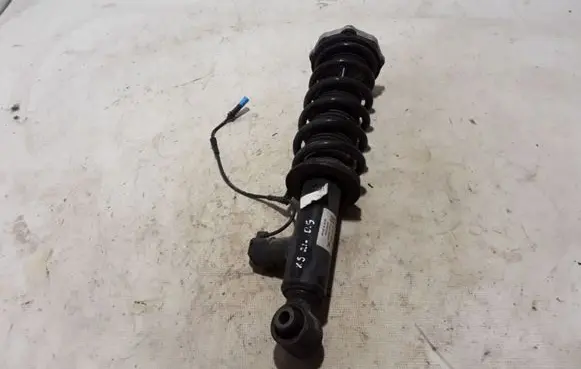 BMW X3 G01 Rear shock absorber/damper 6887148