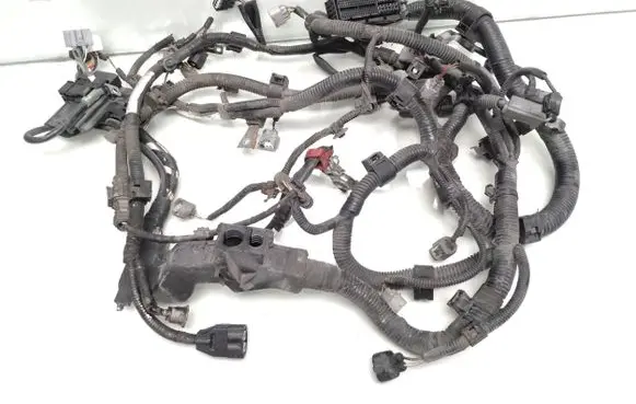 Engine installation wiring loom