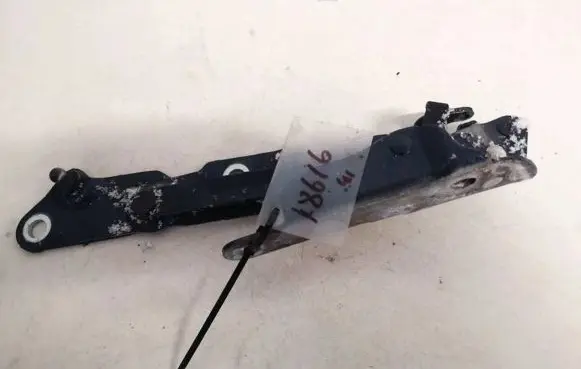 Tailgate/trunk/boot hinge