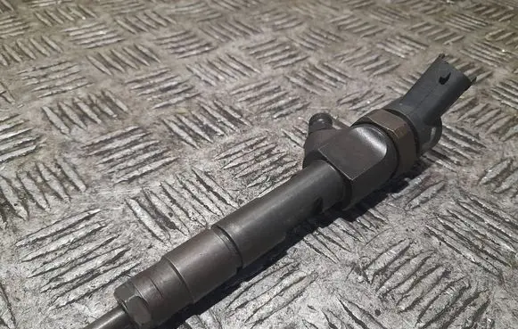 Renault Megane II Fuel injector 8200100272 0445110110b