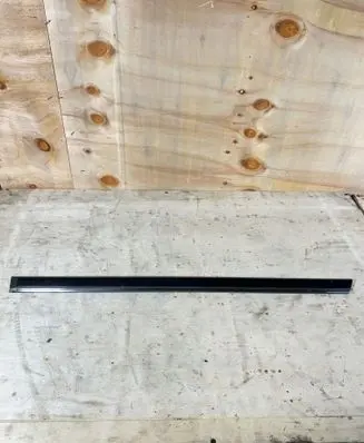 BMW 5 E39 Rear door trim (molding) 7036707 7004031 51137036707
