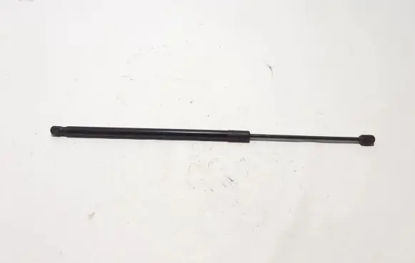Tailgate strut