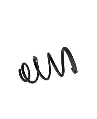 Ford Mustang V Front coil spring 7R3V5310JB