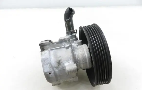 Chevrolet Captiva Power steering pump 4901835