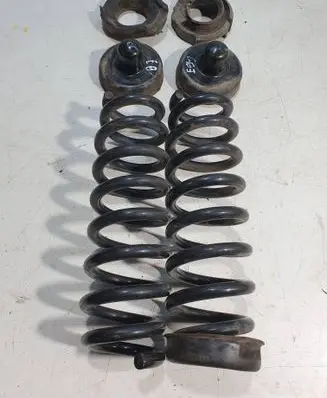 Rear coil spring