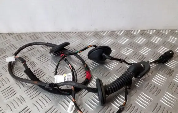 KIA Sorento Rear door wiring loom 916602P050