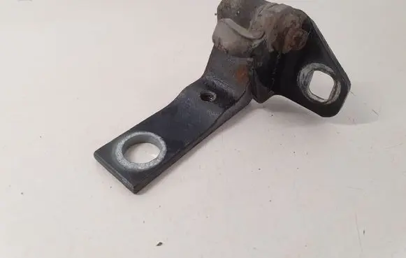 Front door lower hinge