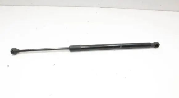 Ford Ecosport Tailgate/trunk strut/damper FN1BN400A12AB