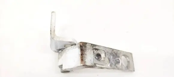 Ford Focus Rear door lower hinge AM51U22801AD