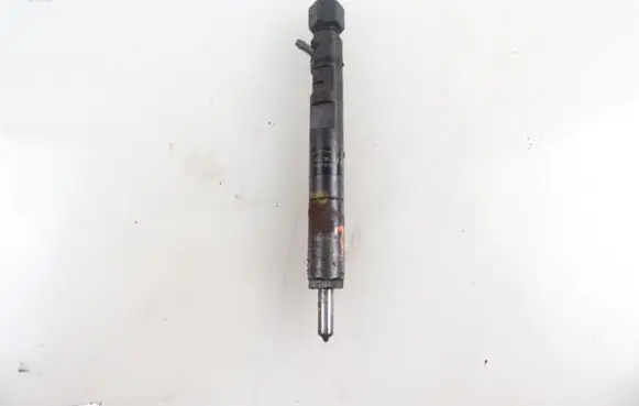 Ford Focus Fuel injector EJBR02201Z 2T1Q9F593AA