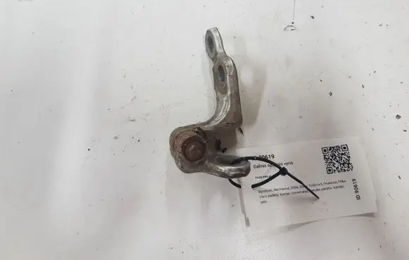 Ford Focus Rear door lower hinge