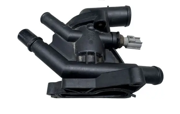 Thermostat/thermostat housing