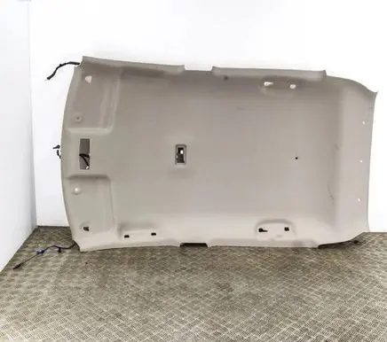 Nissan Leaf II (ZE1) Headlining 739B05SH4B