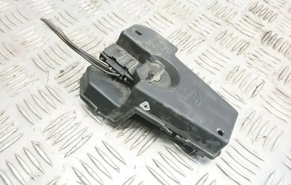 Volkswagen Sharan Tail light bulb cover holder 95VW13N004EA