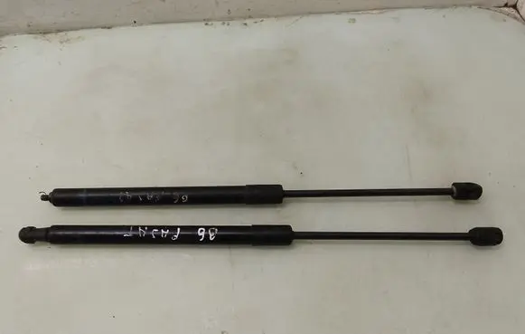 Volkswagen PASSAT B6 Tailgate/trunk strut/damper