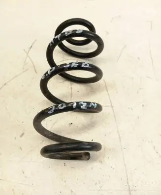 Rear coil spring