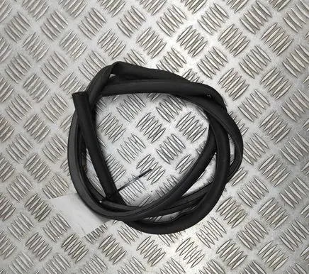 BMW 6 G32 Gran Turismo Rubber seal front door (on door) 7387590