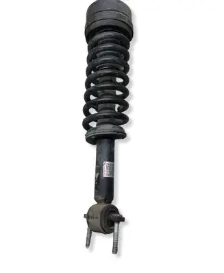Ford F150 Front shock absorber with coil spring 