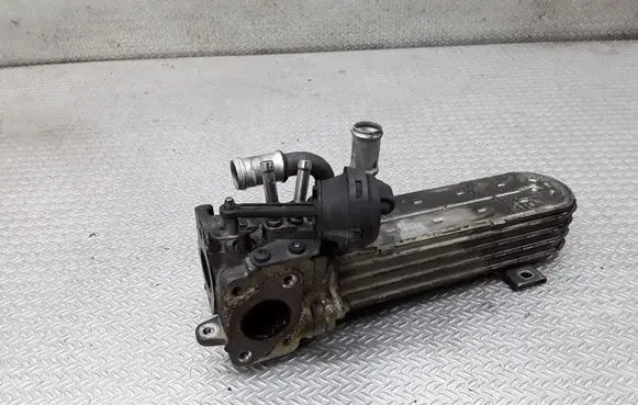 EGR valve cooler