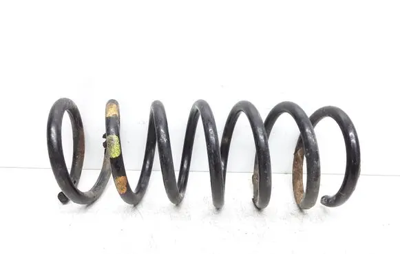 Rear coil spring