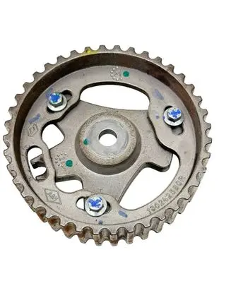 Dacia Dokker Camshaft pulley/ VANOS 130242580R