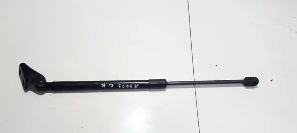 Suzuki Swift I Tailgate/trunk strut/damper 1965TI