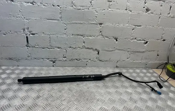Tailgate/trunk strut/damper
