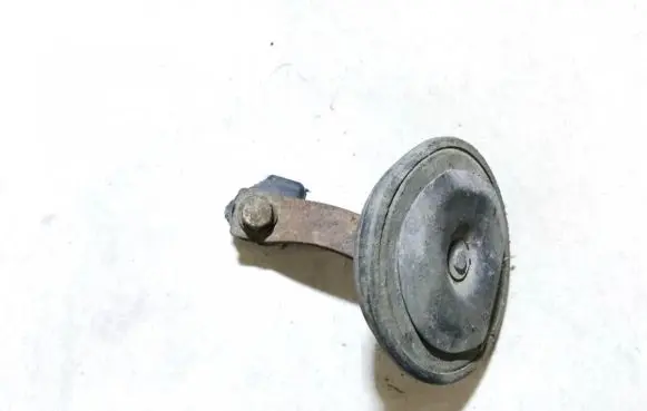 Horn signal