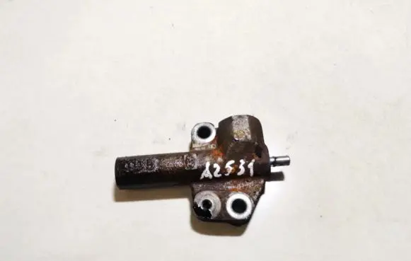 Hyundai Trajet Slide rail for timing chain 