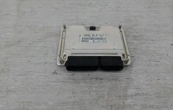 Engine control unit/module ECU