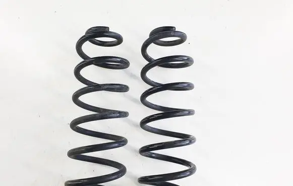 Rear coil spring